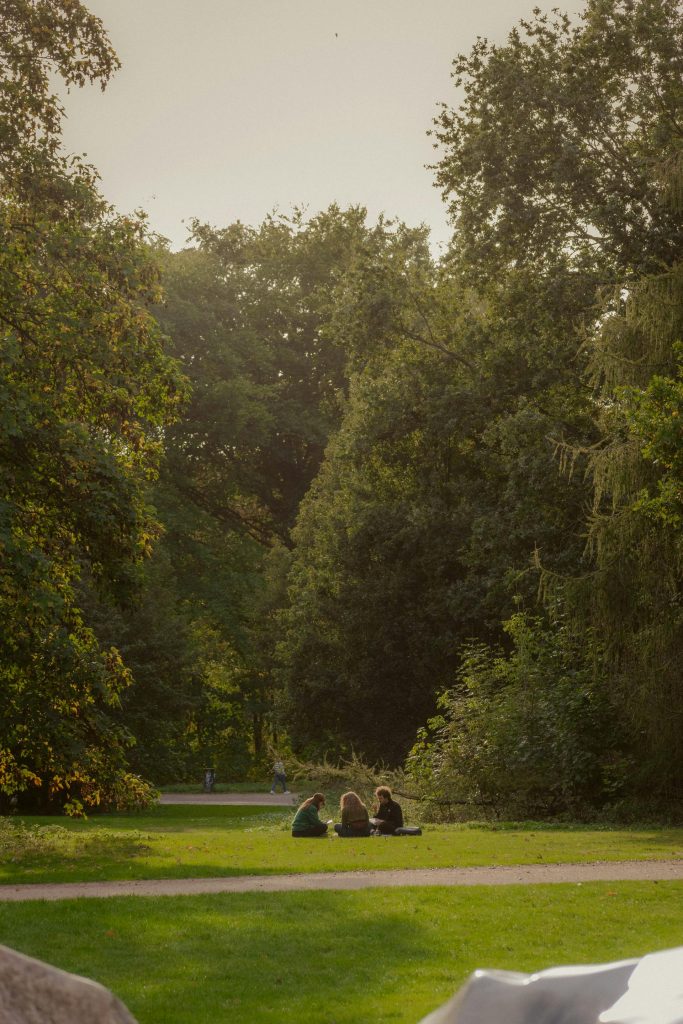 A group of friends enjoying a sunny day in a lush, green park.