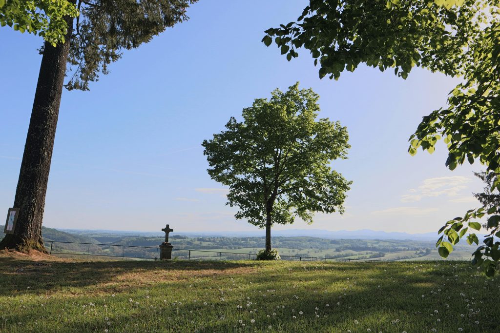 Serene landscape featuring a solitary tree and cross under a bright sky, perfect for relaxation themes.